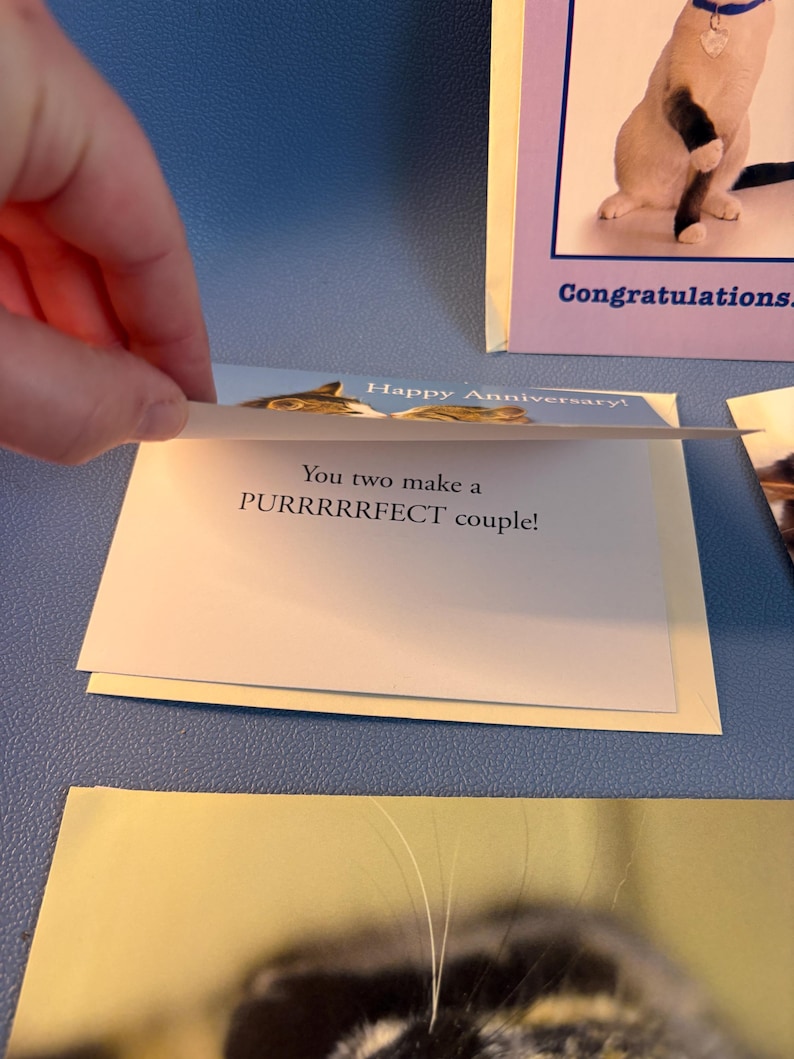 May include: A greeting card with the text "You two make a PURRRRRFECT couple!" is being held open. The card has a cat illustration and the words "Happy Anniversary!" are visible. Another card with a cat image and the word "Congratulations" is also visible.