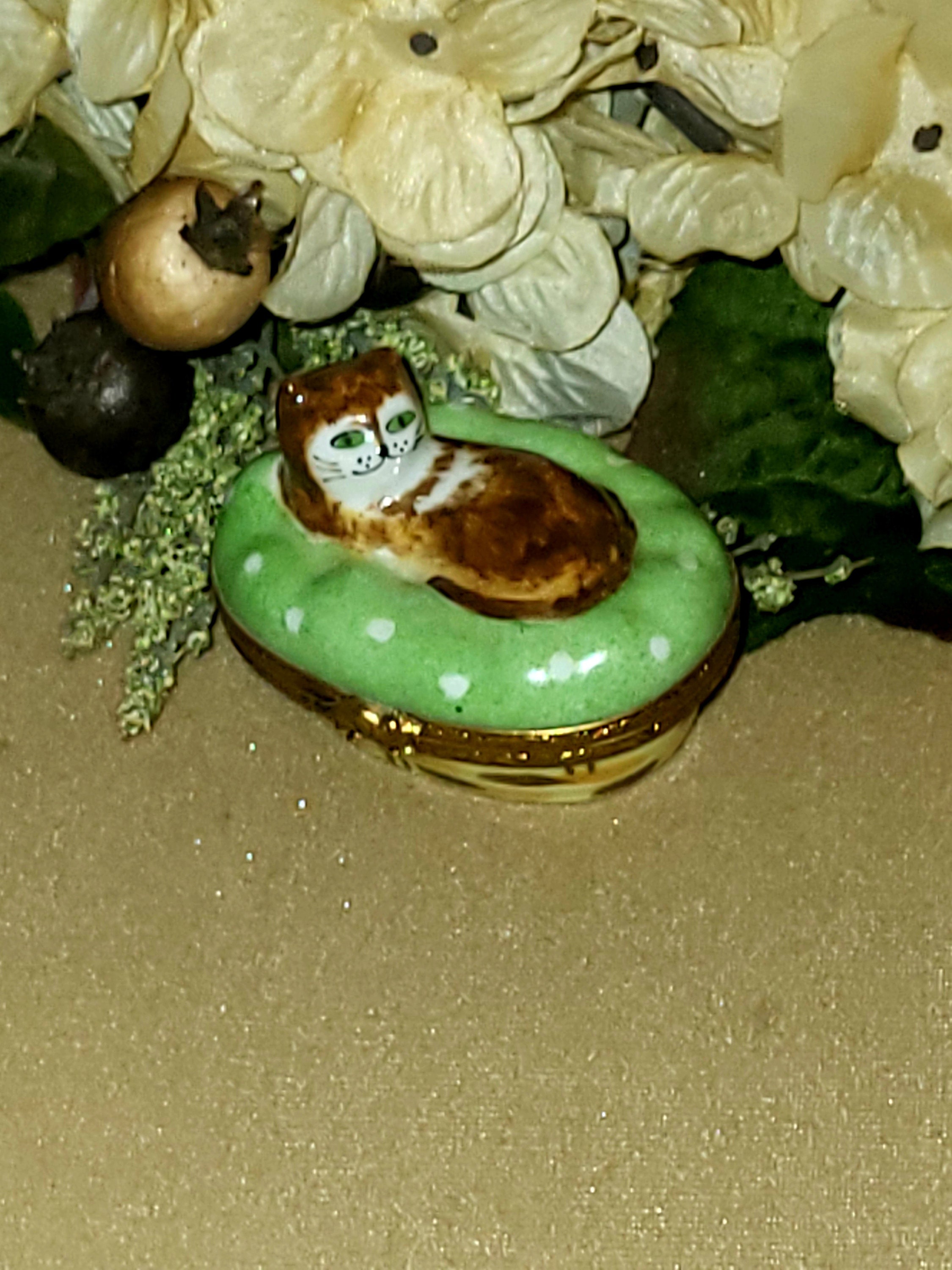 Cat Limoges Box - Etsy