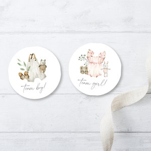 Gender Reveal Party Stickers, Team Girl, Team Boy, Gender Reveal Tags, Clothes Baby Shower, Boho, Template, Editable, e706