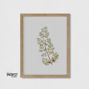Wall Art, PRINTABLE Boho Botanical Wall Art Prints, House Plants Print, Plant Poster, Plant Lover Gift, Vintage Print