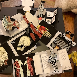 My Anatomical Journal: Notes from the Body in the 21st Century