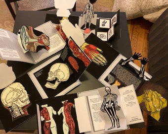 May include: A pop-up book with illustrations of the human body, including the ear, skull, skeleton, and muscles. The book is open to reveal the different anatomical structures.