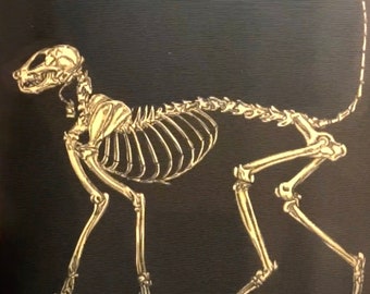 Könnte beinhalten: Eine detaillierte Illustration eines Katzenskeletts in Gold auf schwarzem Hintergrund.