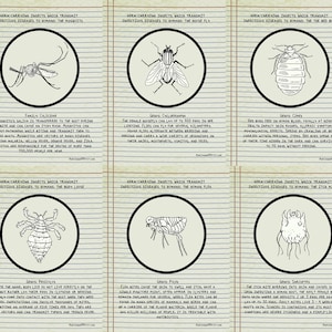Germ Carrying Insects Which Transmit Infectious Diseases to Humans Postcards (set of 6)