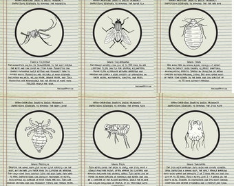 Germ Carrying Insects Which Transmit Infectious Diseases to Humans Postcards (set of 6)
