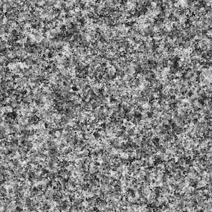 Random Walker-algoritmen Konsttryck Poster - Svartvitt (Frantic)