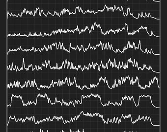 the everybodyfields - Nothing is Okay Album Visualization Poster