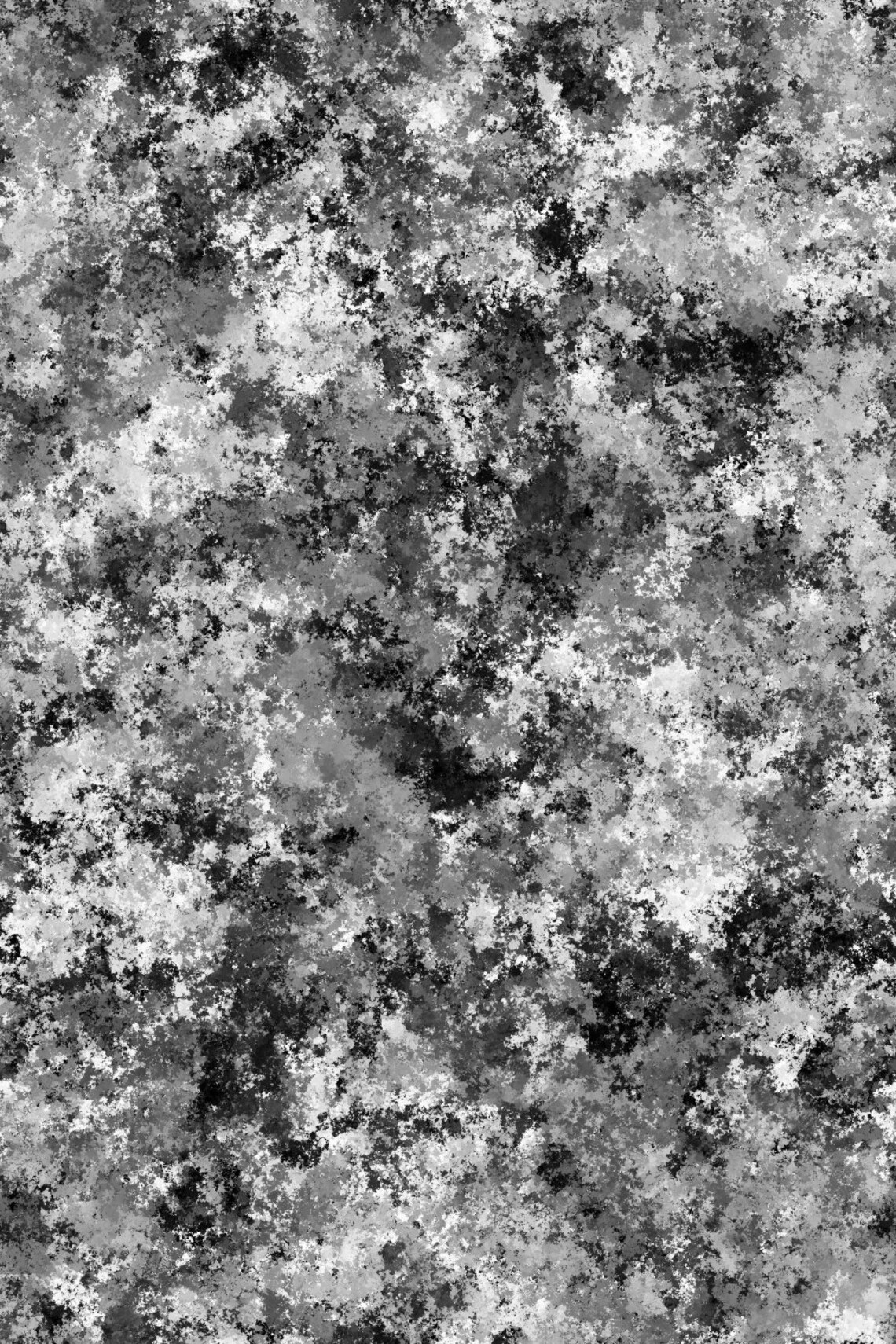 Random Walker Algorithm Art Print Poster - Black and White (normal) - Etsy