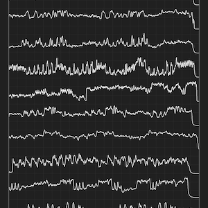 Trampled by Turtles - Palomino - Album Song Visualization Poster