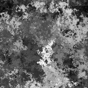 Random Walker-algoritmen Konsttryck Poster - Svartvitt (Gradvis)