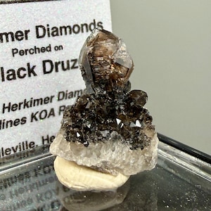 Könnte beinhalten: Ein Herkimer-Diamanten-Exemplar auf schwarzem Druzy-Quarz. Der Kristall ist dunkelbraun mit einer klaren, facettierten Spitze. Die Basis ist eine Mischung aus weißen und schwarzen Kristallen. Der Text auf der Karte lautet "Herkimer Diamonds".