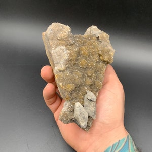 ハーキマー ダイヤモンド鉱山産の、ドゥルージー ハーキマー クォーツ マトリックス上の方解石 1 ポンド 6 オンス、ポケット ウォールのピザ スライス型セクション