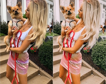 May include: A small, light brown dog wearing a polka-dot harness is held by a person. The dog is on a red leash. The person is wearing a white tank top, a pink iridescent skirt, and white sandals. The background includes a building and greenery.