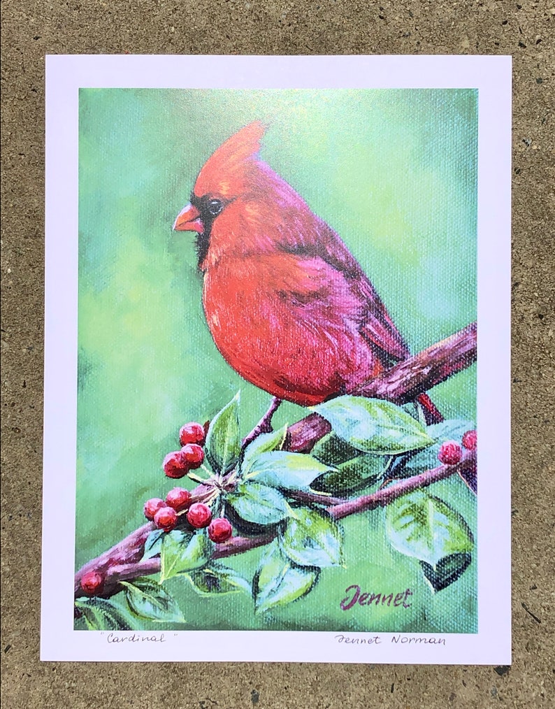 Print Cardinal 11x8 by Jennet Norman image 3