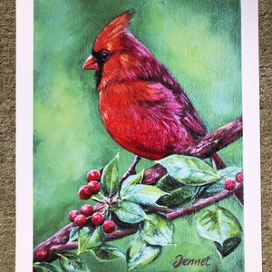 Print Cardinal 11x8 by Jennet Norman image 1