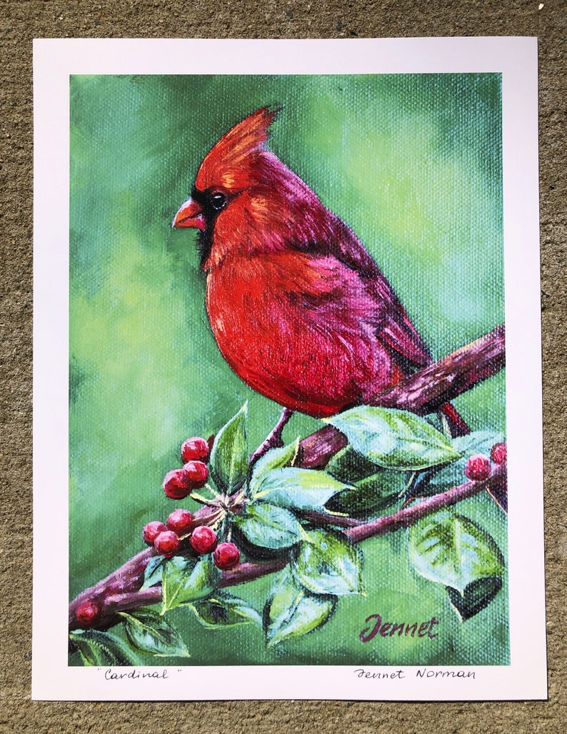 Print Cardinal 11x8 by Jennet Norman image 1