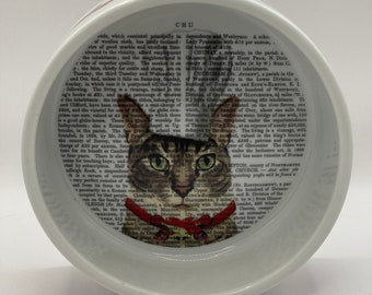 Fab Funky CHU Porcelain Cat Food Bowl