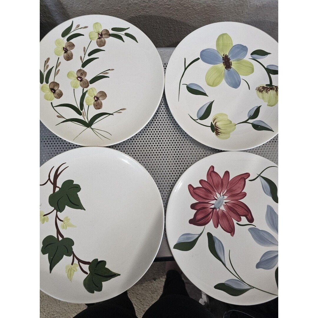 Blue Ridge Southern Potteries Vintage Set of 4 Dinner Plates Floral 9.5 ...