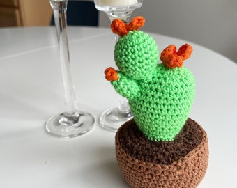 Crochet Cactus in Pot, Amigurumi Succulent with Flowers, Desk Decor