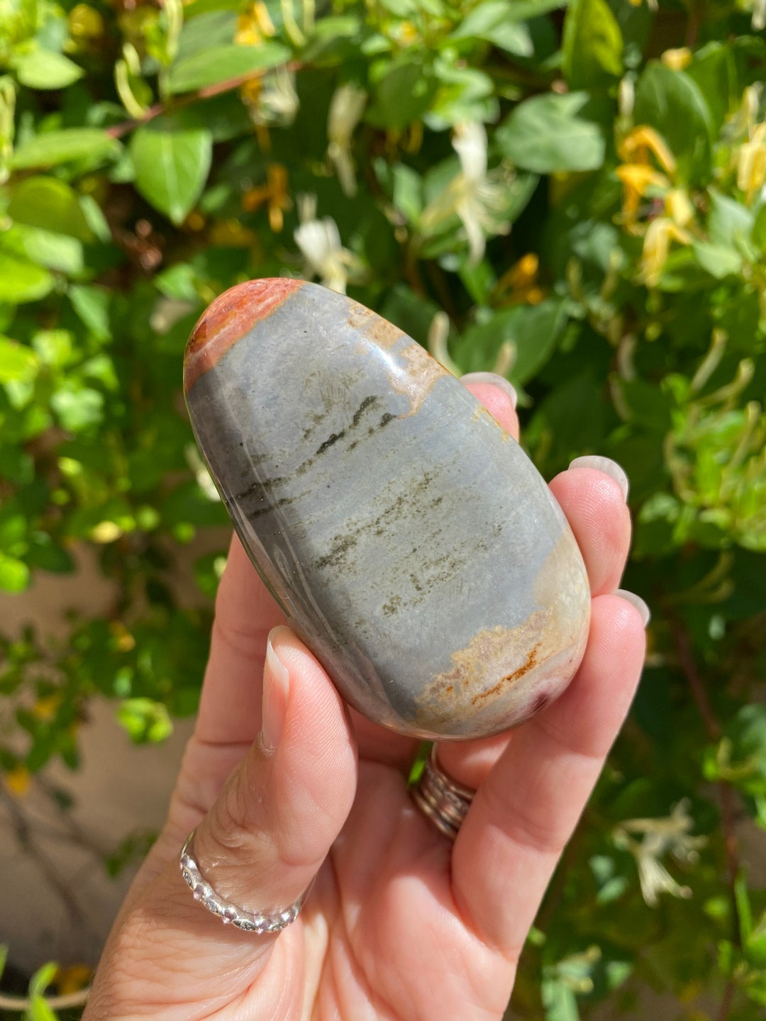 Polychrome Jasper Desert Jasper Palmstone From Madagascar Rock