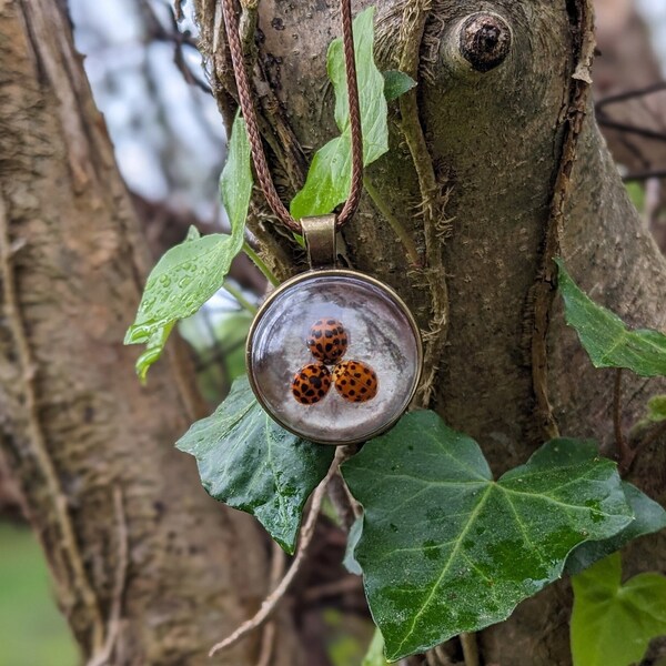 Real Lady Bug Resin Necklace in Bronze finished Bezel