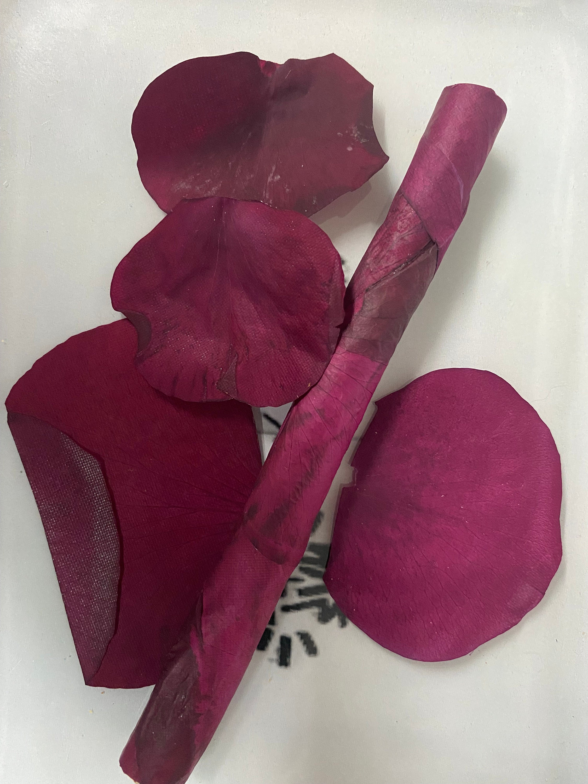 Rose Palms Rose Cones Wraps Flower Petal Prerolled Cone | 6 Cones | Natural  Organic Rose Petal Handrolled Cones Unrefined, Earthy, Organically Scented