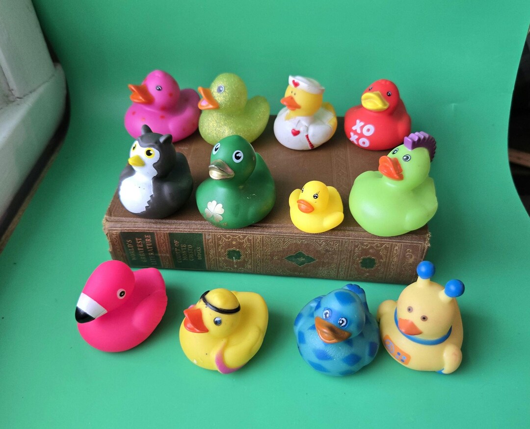 Rubber Duck Collection of 12 - Valentine Duck Nurse Duck Owl Duck St ...
