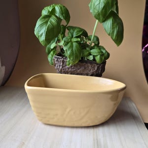 May include: A yellow ceramic planter with a curved design, holding a basil plant with vibrant green leaves. The planter is on a light-colored surface, with a brown pot in the background.