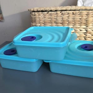 May include: Three light blue plastic food storage containers with matching lids. Each lid has a circular indentation and a dark purple center. The containers are stacked on top of each other.