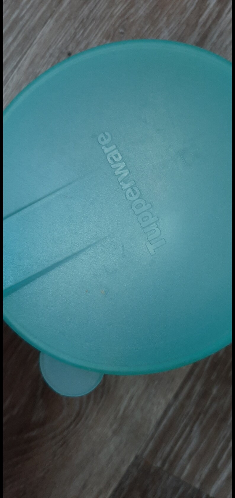 TUPPERWARE Me Not Keeper Holder Grapefruit Holders Etsy