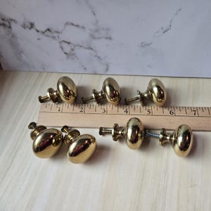May include: A collection of seven brass oval cabinet knobs with screws. The knobs are arranged on a wooden ruler, with the measurements in inches. The knobs have a shiny, reflective surface and are in a warm gold color.