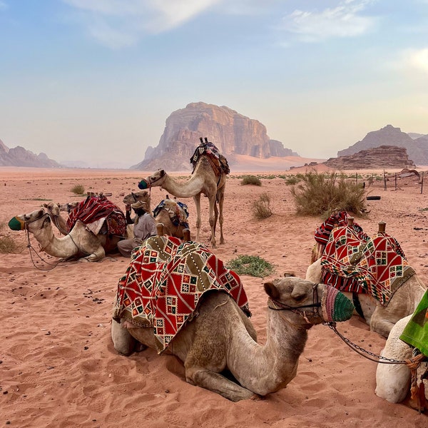 Camels Wadi Rum Jordan Photography, Desert Wall Art Printable, Red Sand Photo, Travel Photos, Nature Gallery Wall, Digital Download