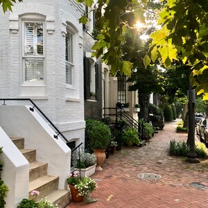 Georgetown DC Photo Print: Morning Light, City Houses (Digital Download)