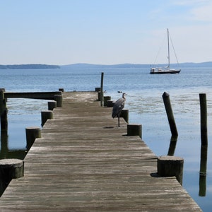 Just a Dock, a Sailboat& a Heron 02…Havre de Grace, MD