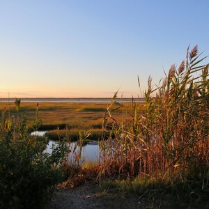 October Sunset with Seagrass View of the Bay 01
