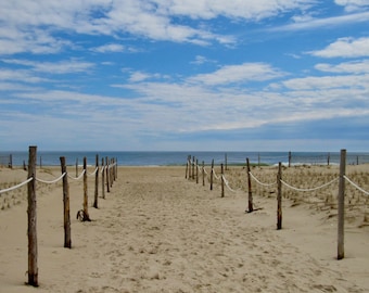 Cape Henlopen Path 01