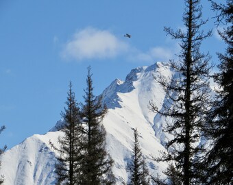 Alaskan Snow covered mountain with plane flying over    01
