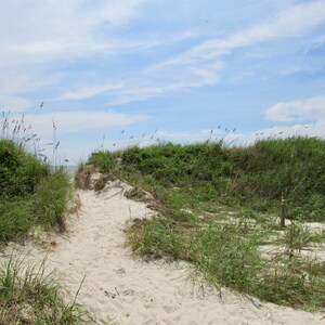 Caswell Beach Path to the Ocean 01