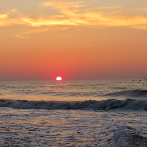 Beach Sunrise with Birds   - 01