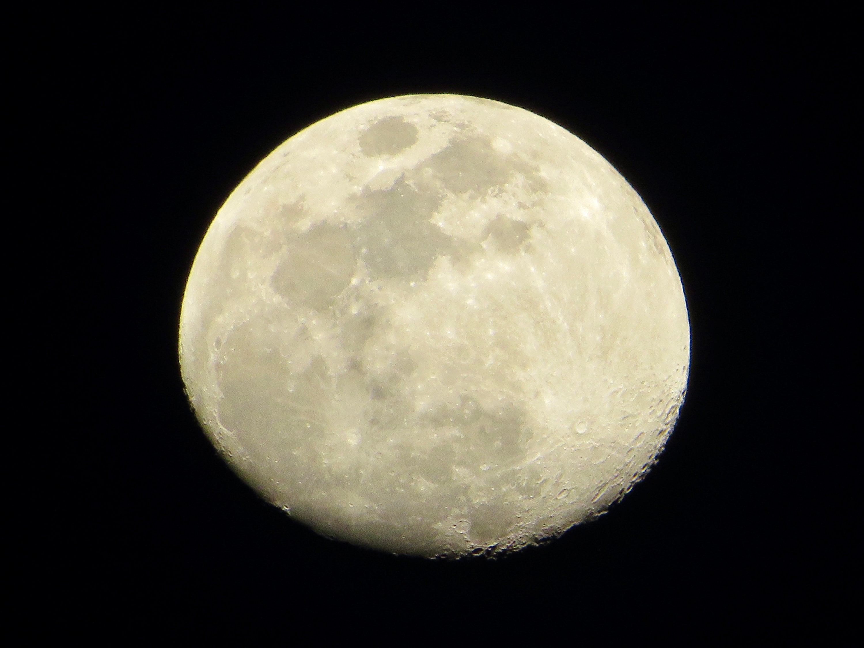 Nikon P1000 Moon Photos Nikon Coolpix P1000 (VQA060EA) Buy Digital