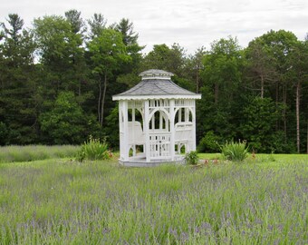 Deep Creek Lavendar Farm 01