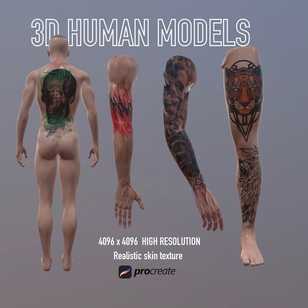 3d Male Human Model for Procreate