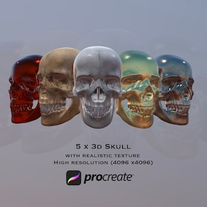 3d Skull For Procreate app