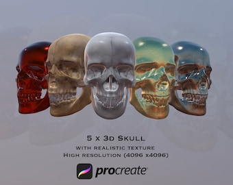 3d Skull For Procreate app