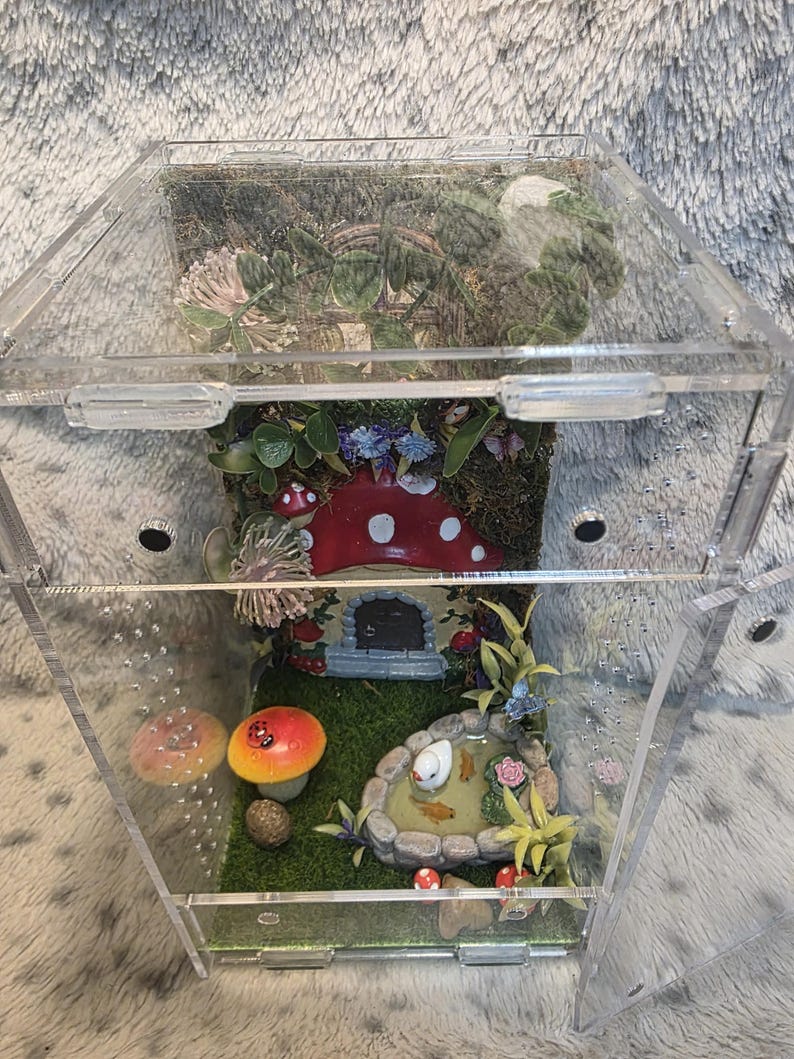Puede incluir: Un terrario de acr&iacute;lico transparente con un jard&iacute;n de hadas en miniatura en su interior. El jard&iacute;n presenta un estanque con peces, una casa de setas y varias plantas y setas. El terrario es hexagonal y tiene una tapa con bisagras.