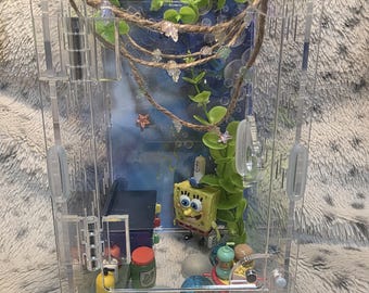 4"/4"/8" SpongeBob Jumping Spider Enclosure