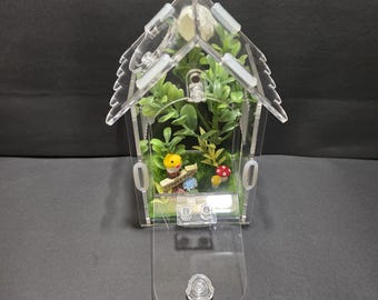 Mini Jumping Spider Enclosure