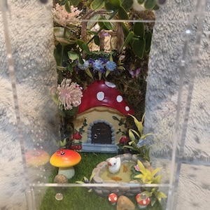 Puede incluir: Una escena de jard&iacute;n de hadas en miniatura encerrada en una caja de acr&iacute;lico transparente. La escena presenta una casa de hongos con una tapa roja y puntos blancos, un estanque con un pato blanco y varias plantas y flores.