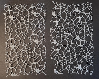 Jumping Spider/Mantis Webbing