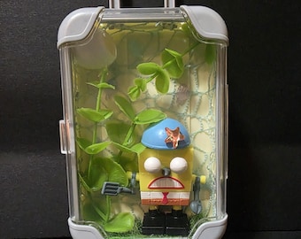Mini Jumping Spider Suitcase